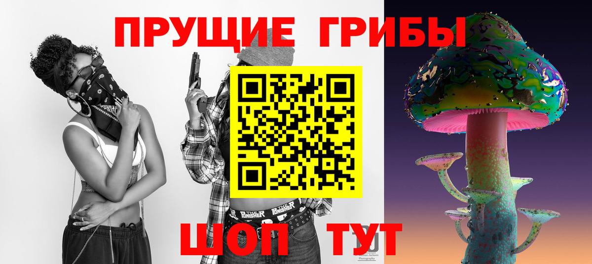 Зеленокумск  Псилоцибиновые грибы Cubensis  Вход с VPN 