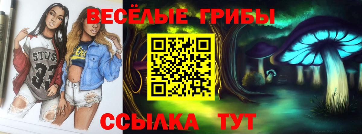 Меф МЯУ МЯУ кристаллы  Зеленокумск  Конопля  Вход с VPN  Кокаин  Альфа ПВП СОЛЬ   ГАШИШ  ГАШ  Метадон  LSD-25 